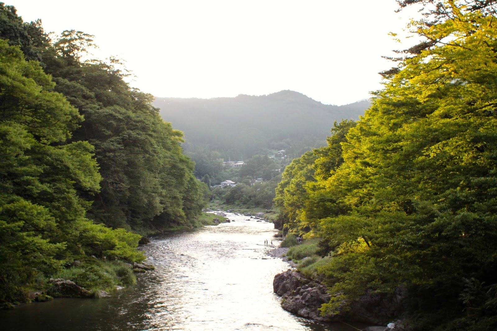 🏞️ 효고 섬 공원(효고지마 코엔) 이미지 4